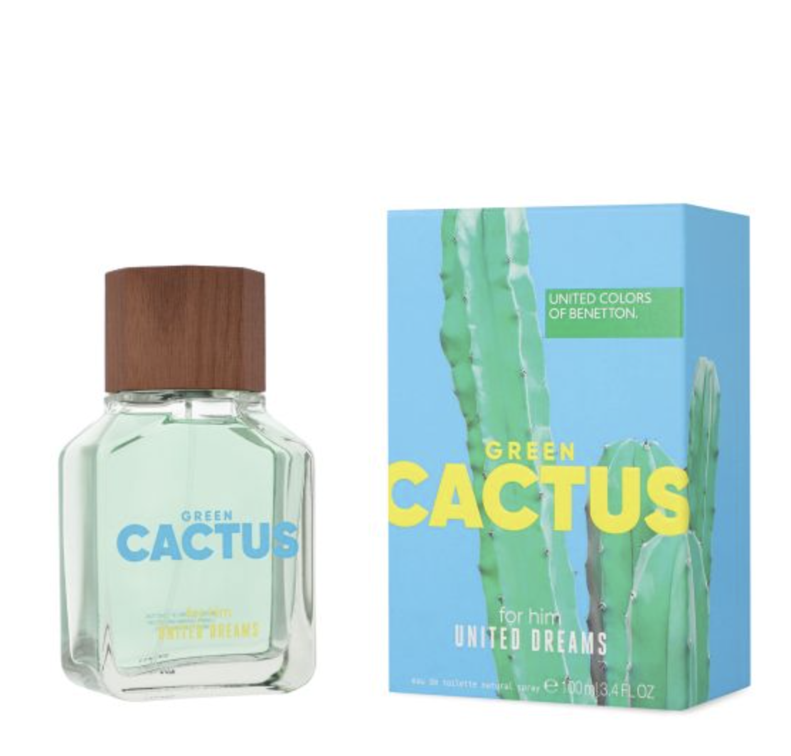 Green Cactus For Him